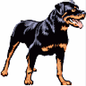rottweiler clipart rottweiler clipart clipart best rottweiler clipart rottweiler clipart clipart best