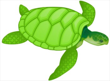 Free green-sea-turtle Clipart - Free Clipart Graphics, Images and ...