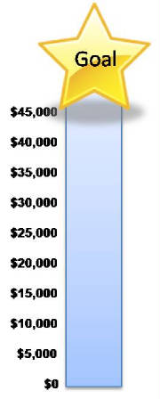 Fundraiser goal chart /