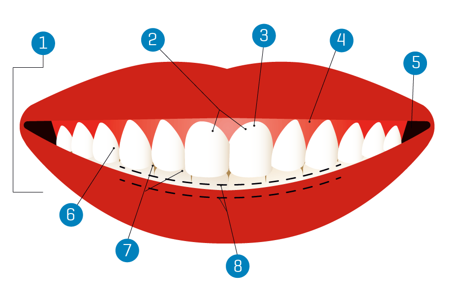 Smile Science: The Anatomy of a Smile | Portland Monthly