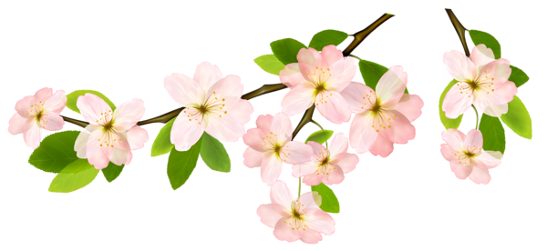 spring clipart png - photo #24