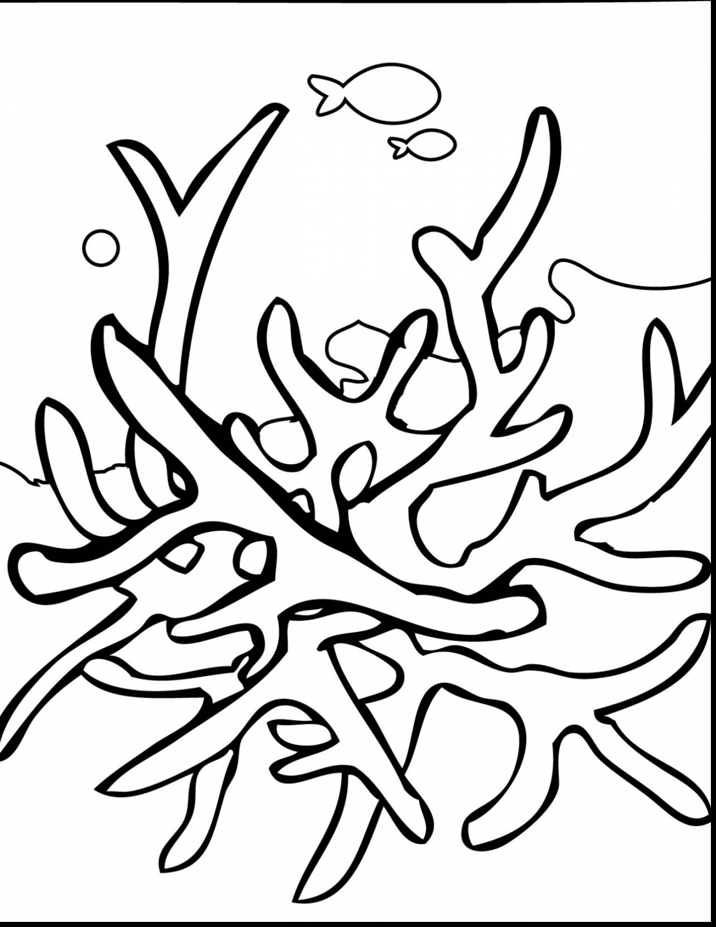 unbelievable coral reef coloring pages with coral reef coloring ...