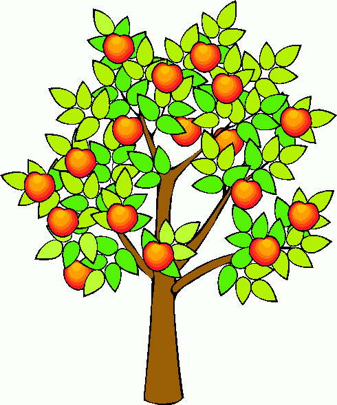 Clipart orange tree