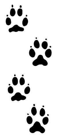 Dog Paw Tracks Decal Sticker