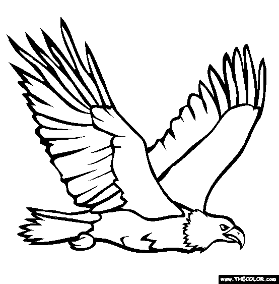 Bald eagle clipart black and white