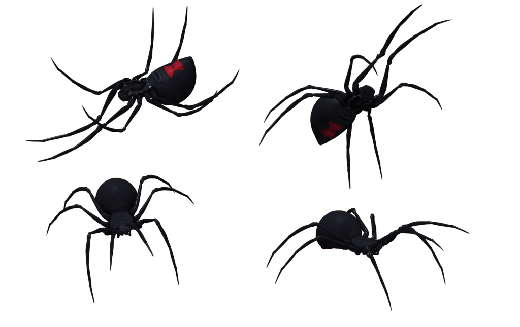 Black Widow Spider Art