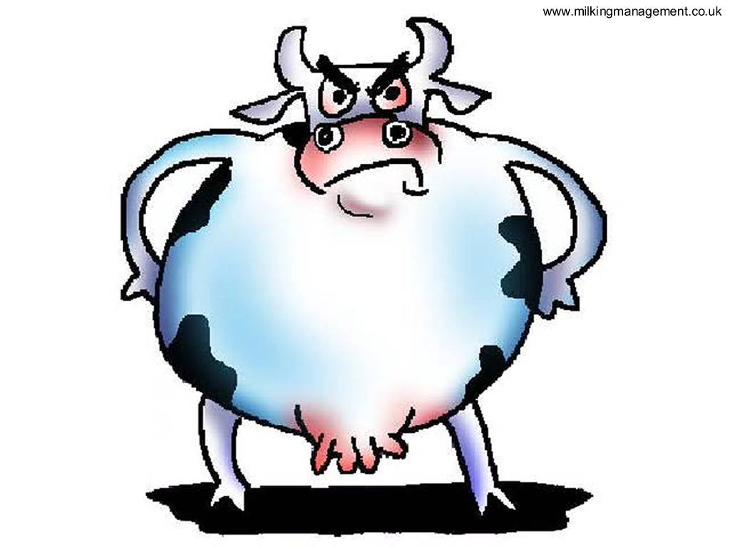 Best Photos of Cartoon Cow Eyes - Cute Cartoon Cows with Big Eyes ... -  ClipArt Best - ClipArt Best