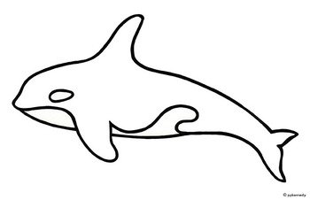 Killer whale clipart black and white