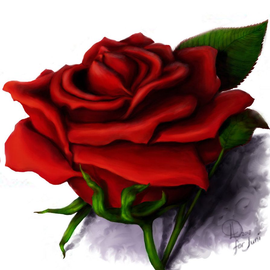 Revised Red Rose by LariaReve on DeviantArt