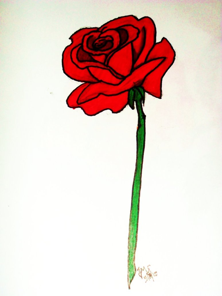 Red Rose Drawing by untalentedwriter on DeviantArt