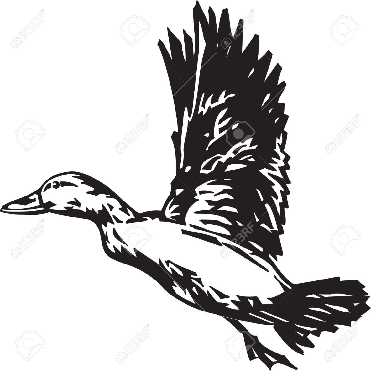 Line Art Duck : Duck hunter clipart best
