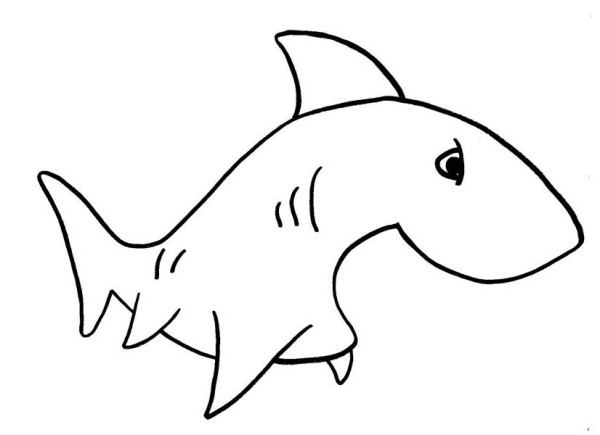 A Simple Drawing of Shark Coloring Page | Kids Play Color