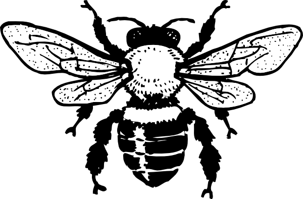 clip art bee line drawing - photo #9