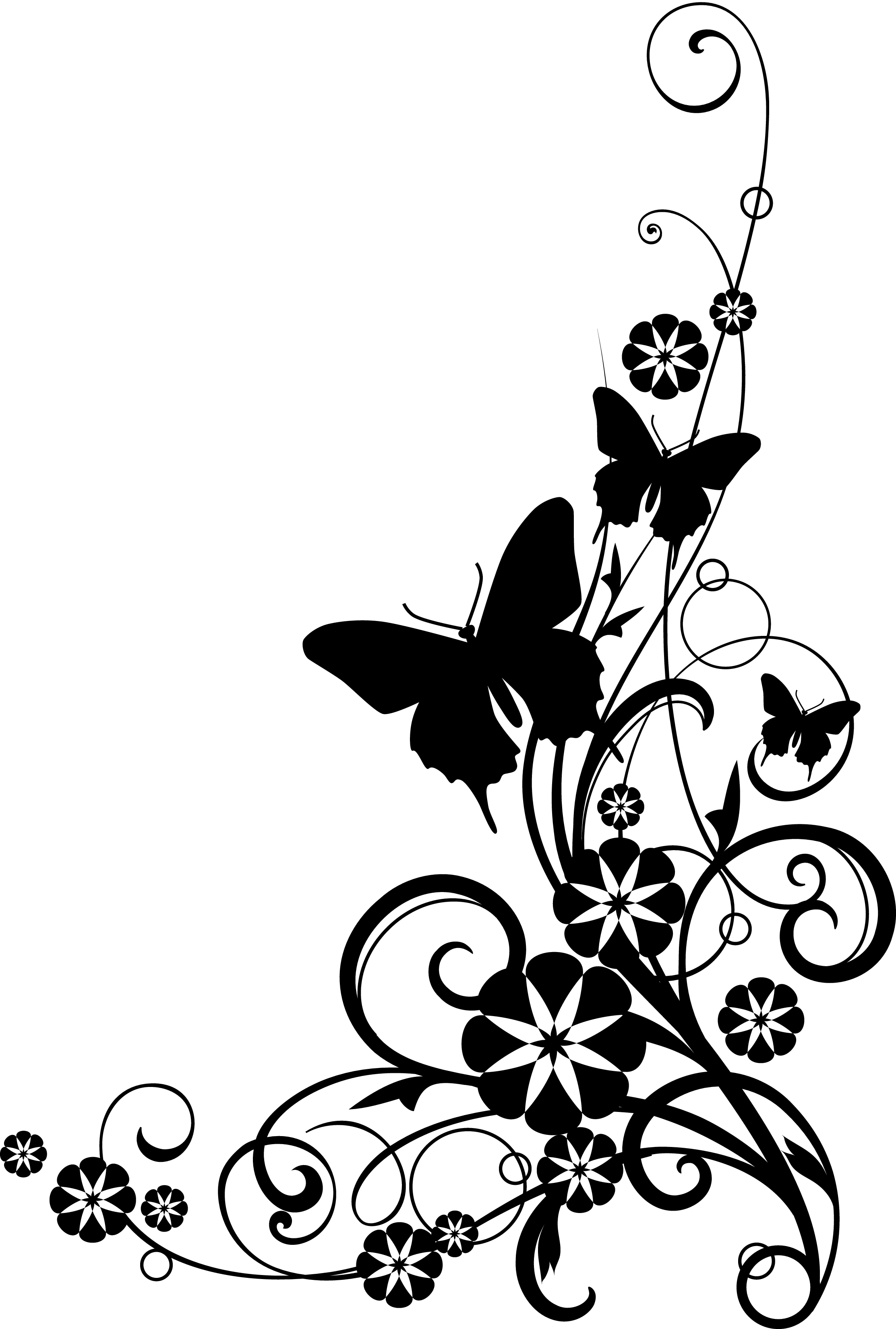 Black And White Flower Border Clipart