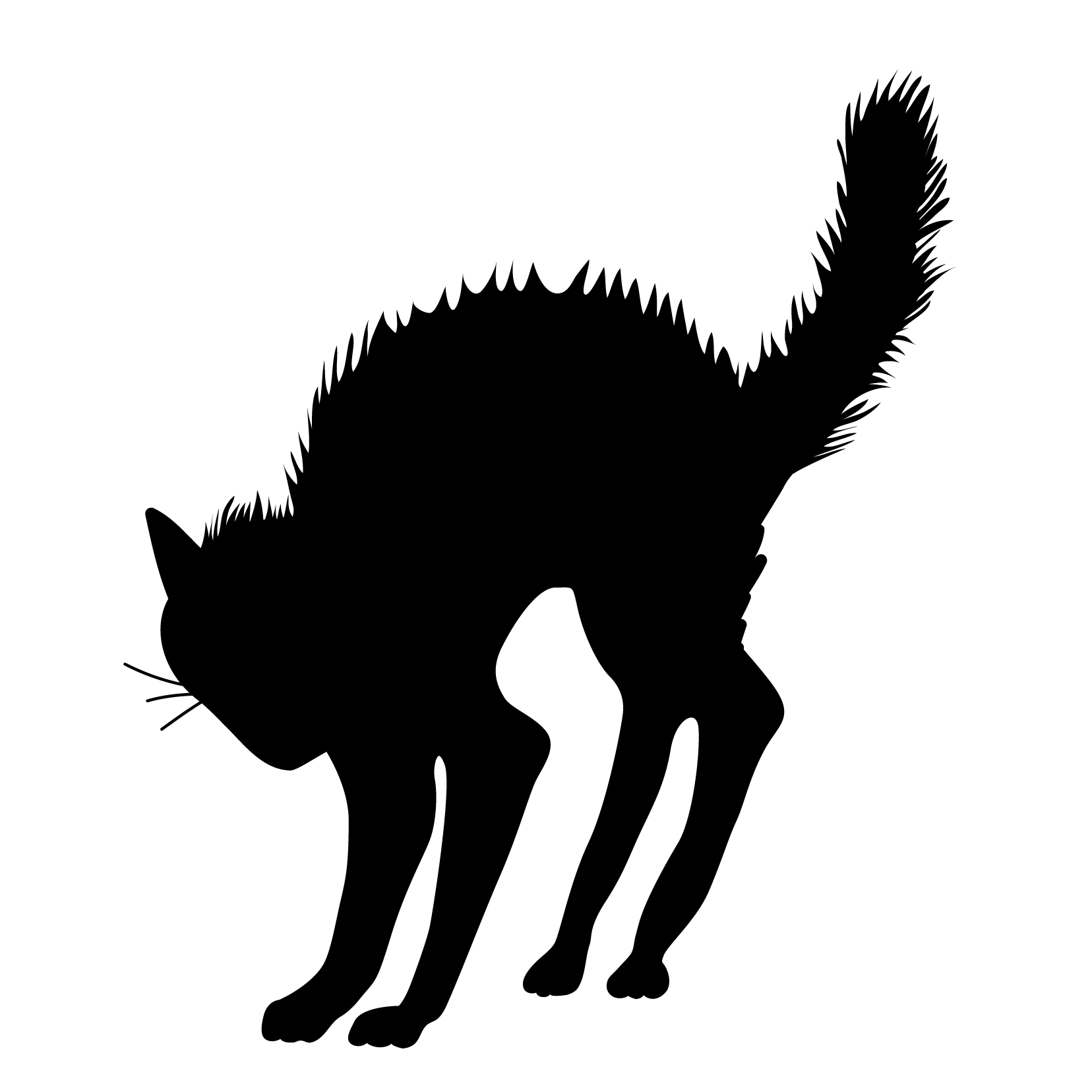 Images For > Spooky Black Cat Silhouette