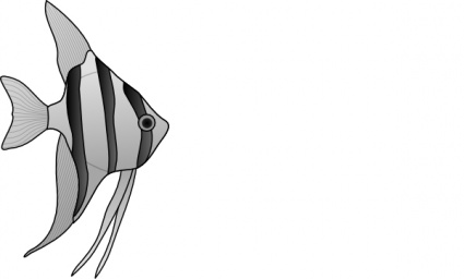 Download Altum Angelfish clip art Vector Free ...
