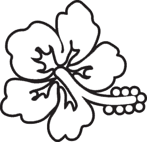 Hibiscus Flower Outline - ClipArt Best