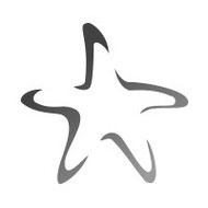 Starfish Stencil Free Clipart - Free to use Clip Art Resource