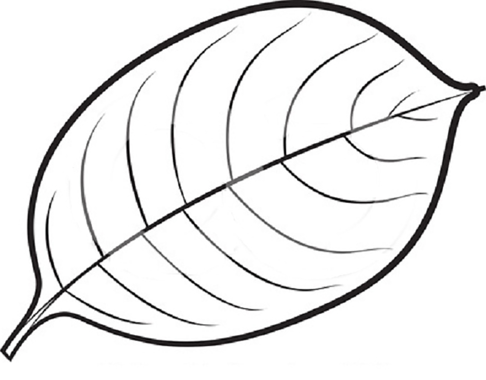 Coloring Pages Leaves - ClipArt Best