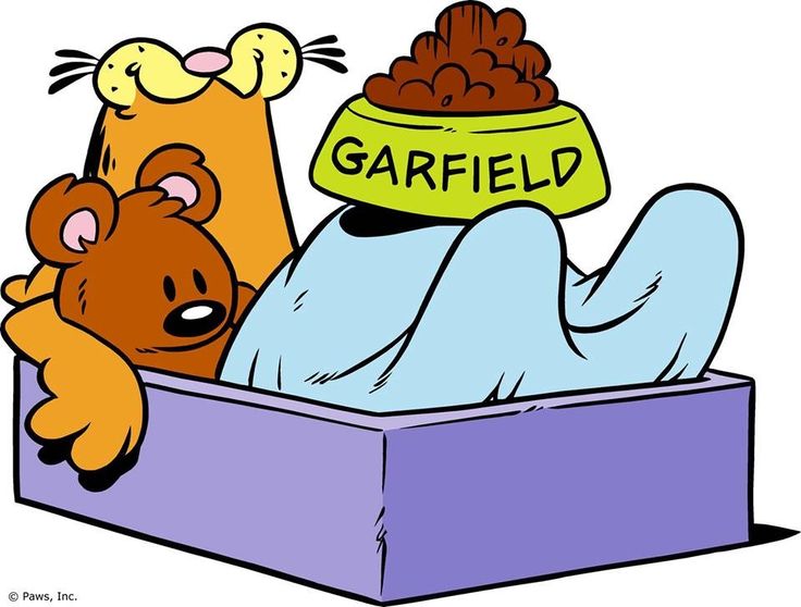 1000+ images about Garfield&Pooky | Eat sleep, Sleep ...