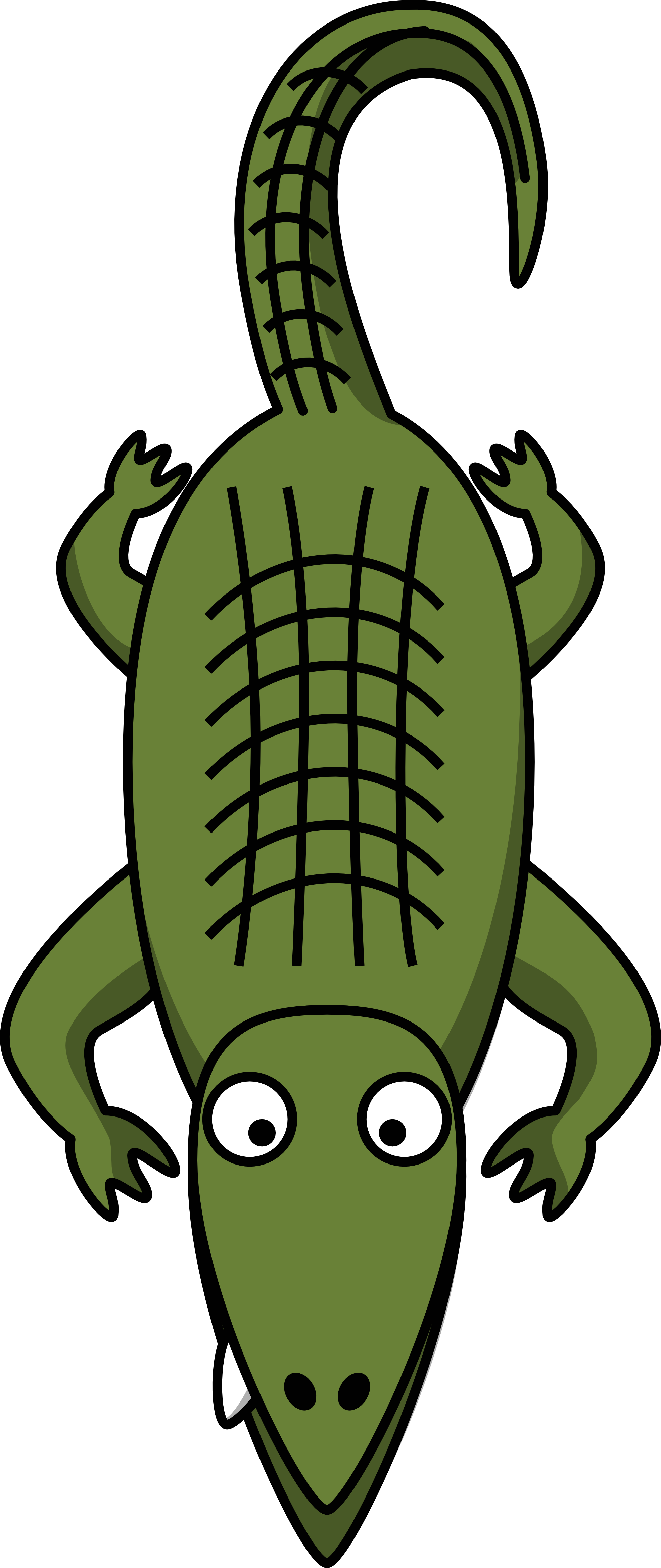 Cartoon Alligator