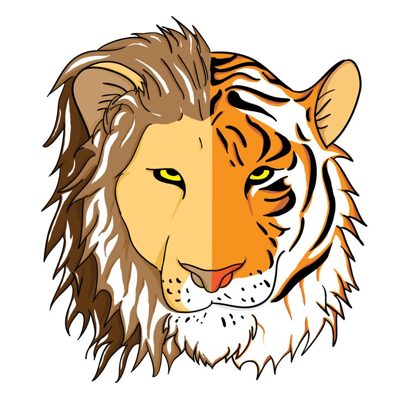 Lion vs Tiger: Which Would Win In A Fight? Â» Science ABC - ClipArt Best -  ClipArt Best