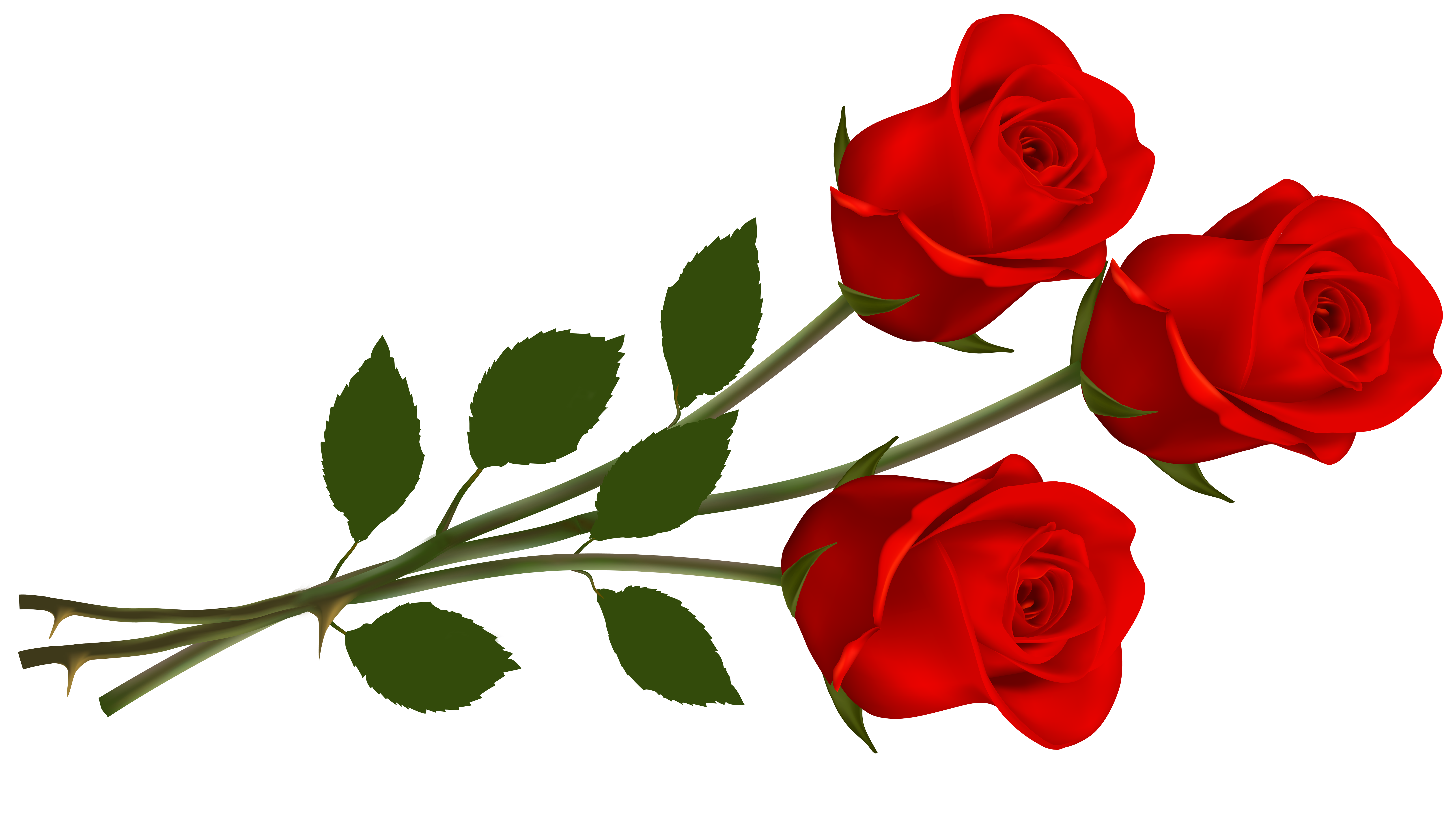 Free red rose clipart png