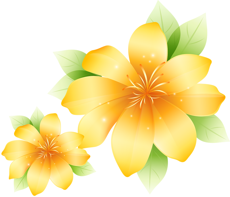 Large_Yellow_Flower_Clipart.png?m=1366495200