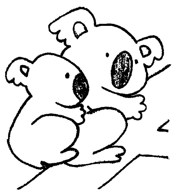 Best Photos of Cute Koala Coloring Pages - Koala Coloring Pages