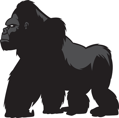 Silverback Gorilla Clip Art, Vector Images & Illustrations