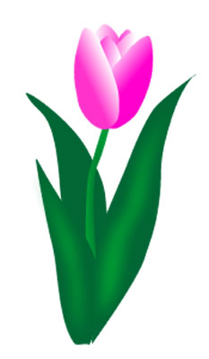 Easter tulips clipart