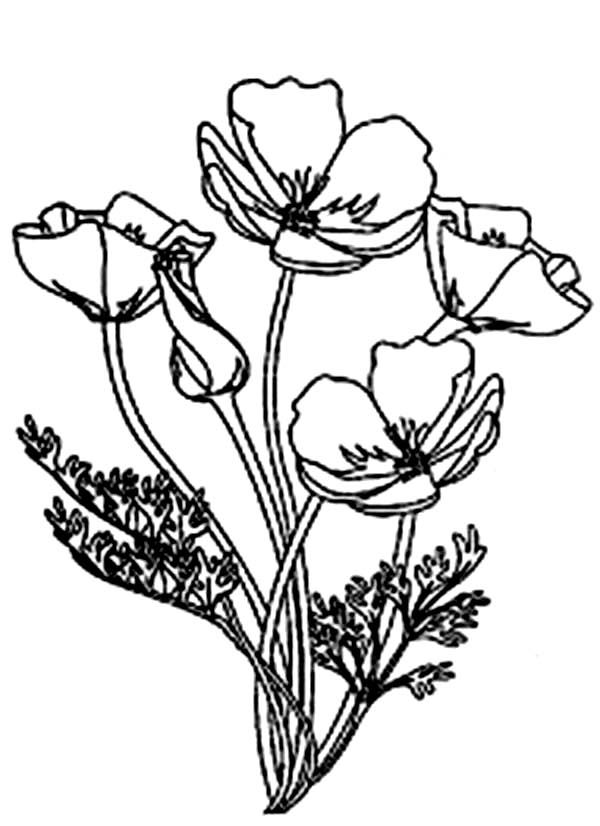 clip art line drawing flowers - photo #38