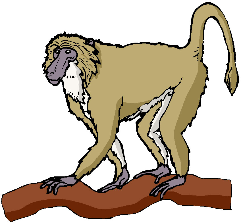 Monkey Climbing Clipart - ClipArt Best