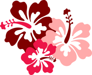 hibiscus-pink-md.png