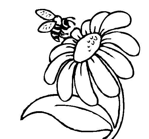 Bee and Daisy Flower Coloring Pages for Kindegarten - Flower ...