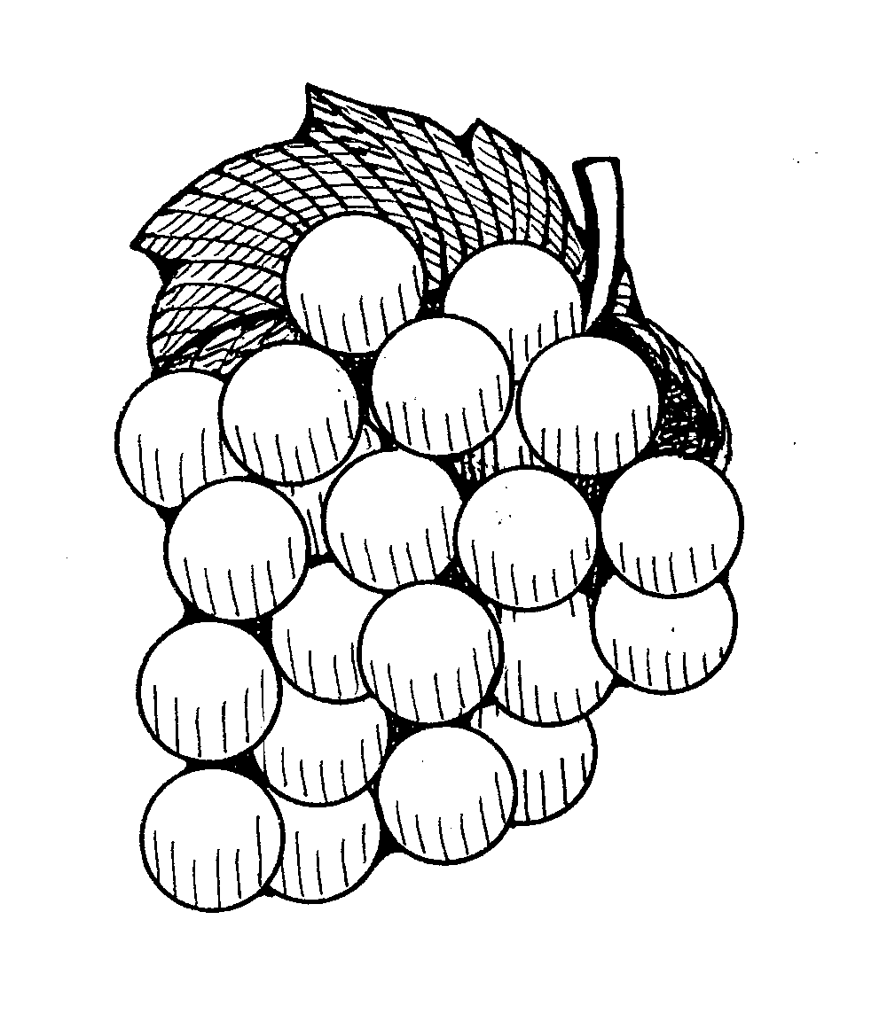 free clipart grapes black and white - photo #10