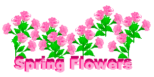 Spring Clip Art - Spring Flowers Clip Art - Free Spring Flowers ...