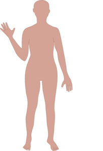 body-outline-md.png