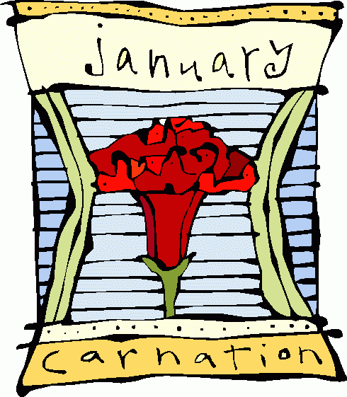 01_january_-_carnation_3 clipart - 01_january_-_carnation_3 clip art