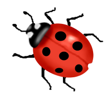 Clipart of ladybug
