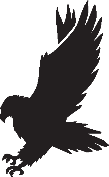 Hawk clipart black and white