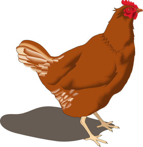 Hen Clipart - Tumundografico