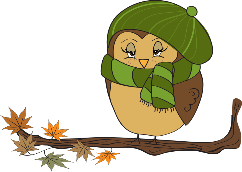 Fall Owl Female
