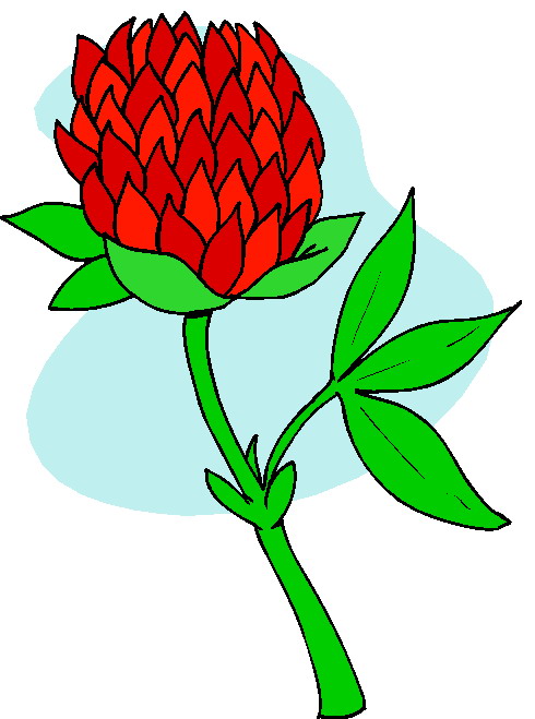 clipart funeral flowers - photo #15