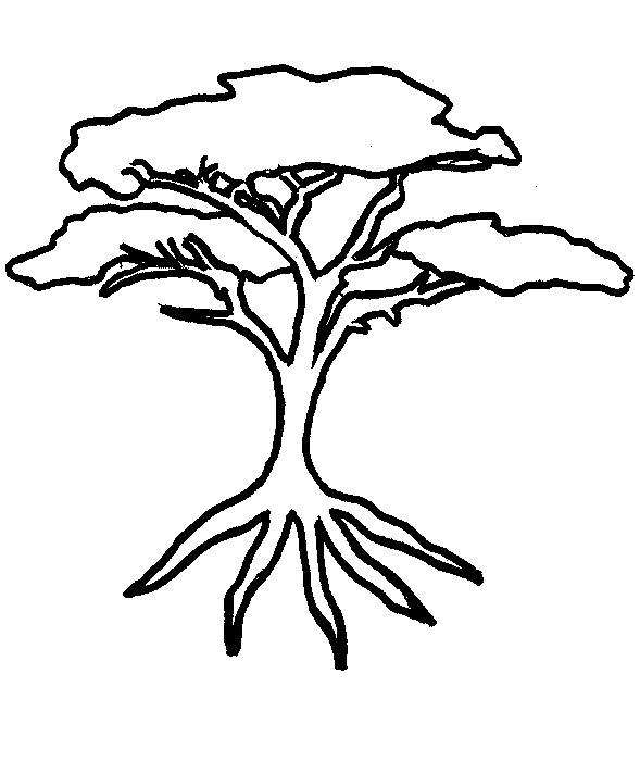 acacia tree coloring pages - photo #5