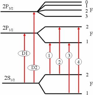 cavities diagram quiz cavities the evolution of a cavity images frompo cavities diagram quiz cavities the evolution of a cavity images frompo