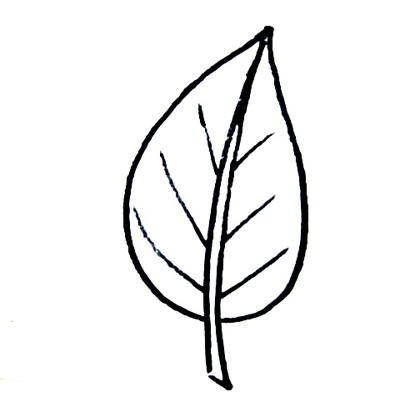 Leaf templates for kid's crafts