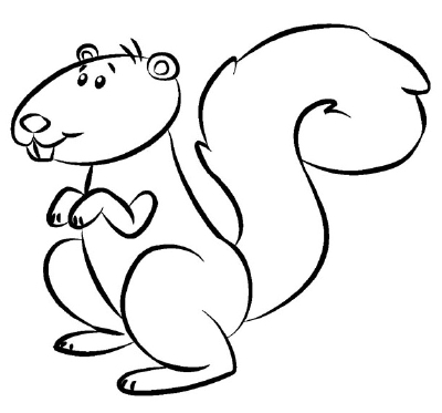 How to Draw a Squirrel - How to Draw Animals | HowStuffWorks