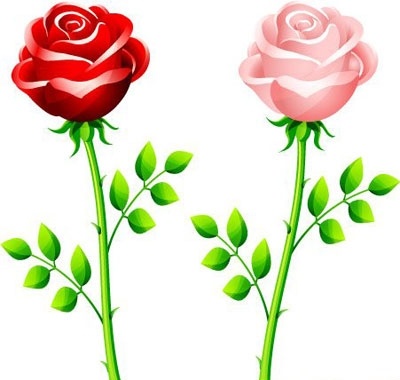 Download Red and pink rose Vector Free
