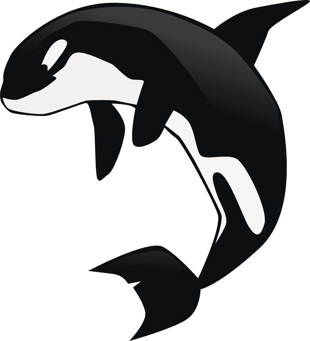 Killer whale clip art related keywords - Cliparting.com